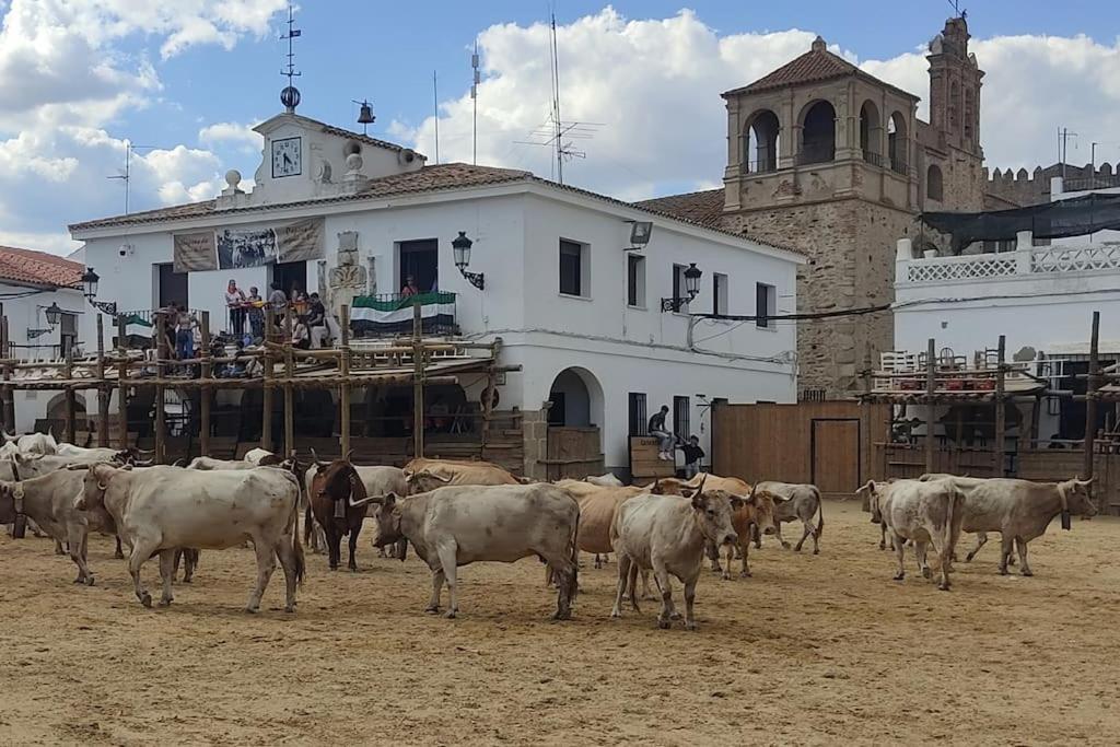 Segura de León El Zarzal De Seguraヴィラ エクステリア 写真